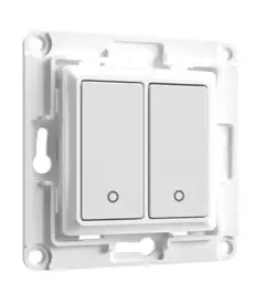 Shelly-WS Wall Switch