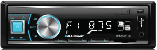 BLAUPUNKT Hokkaido 100 Car Radio