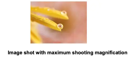 Image shot with maximum shooting magnification