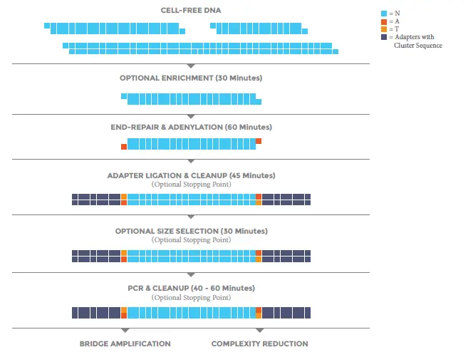 BIOO-SCIENTIFIC-NOVA-5150-01-Cell-Free-DNA-Seq-Kit-01