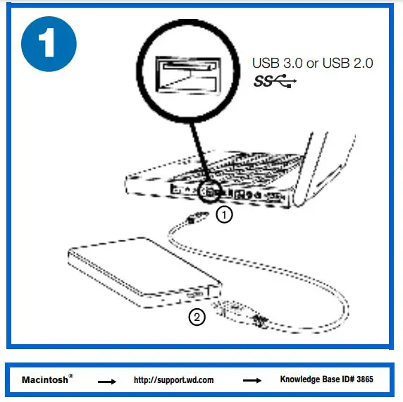 WD Elements - Figure 1