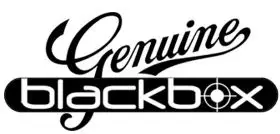 genuine MI-DMR Blackbox Proffessional Tow Way Radios logo