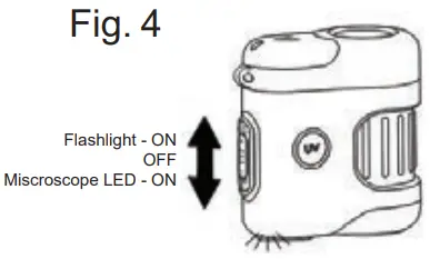 USING THE MICROSCOPE