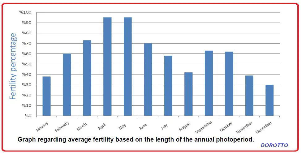 Borotto Real 24 Automatic Egg Incubator FIG 15