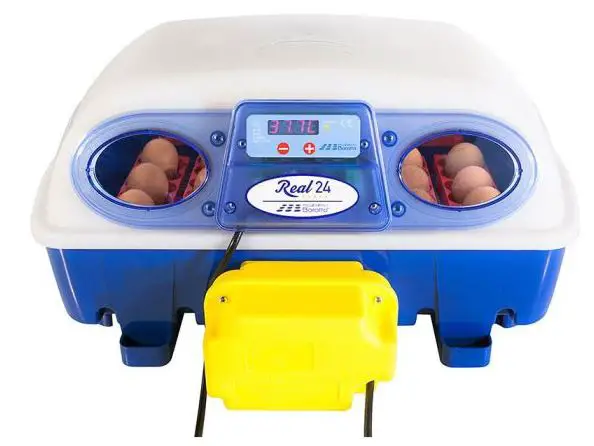 Borotto Real 24 Automatic Egg Incubator PRODUCT