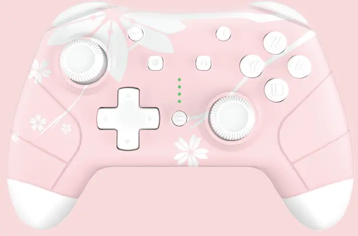 Mytrix MTNSPC-S01 Wireless Controller