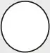 Circle Icon