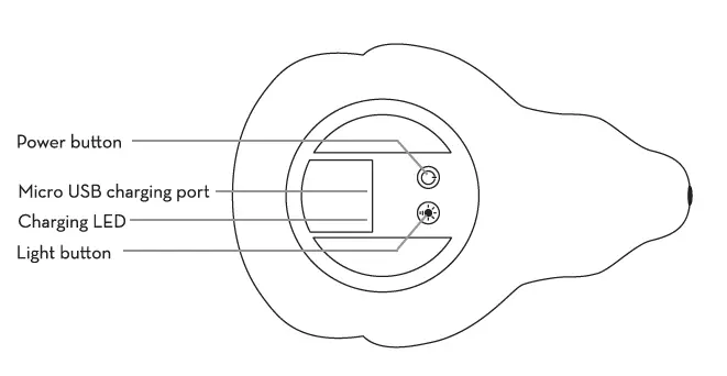 FLOW-1695027-PROJECTOR-BJORN-fig1