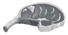 KROAK S41610 Car Refrigerator - icon 10