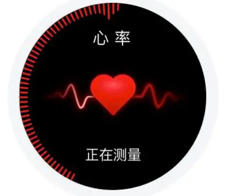 AMAZFIT Smartwatch - Single Measurement Mode