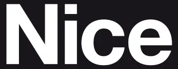 NICE - Logo