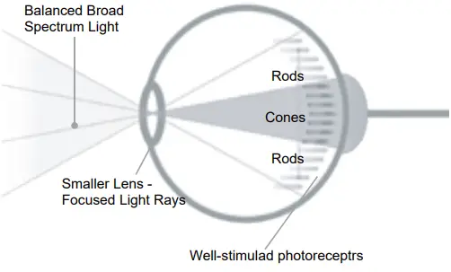 Guangdong-Jishengke-Industrial-JSK-SW01-LED-Daylight-Lamp-FIG-2