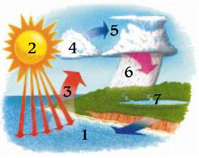 PURE-WATER-6567-Mini-Classic-Water-Purifications-System-fig-1