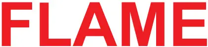 FLAME logo