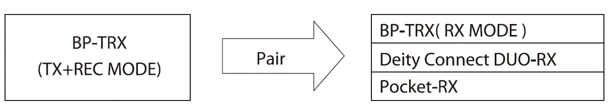 DEITY-BP-TRX-Transmit-Receive-Record-07