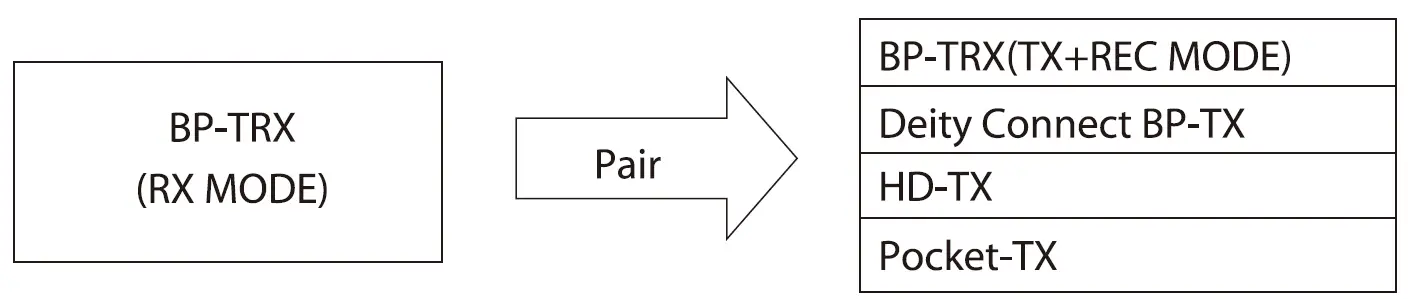 DEITY-BP-TRX-Transmit-Receive-Record-08