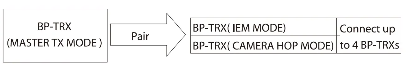 DEITY-BP-TRX-Transmit-Receive-Record-09