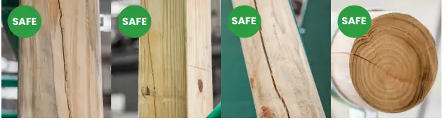 LIFESPAN-KIDS-KIDS-Bloom-Growable-Swing-Set-FIG-1