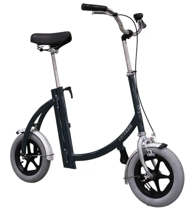 vanraam-City-Walking-Support-product-image