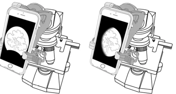 CARSON-MS-040SP-Smartphone-Microscope-Adapter-10