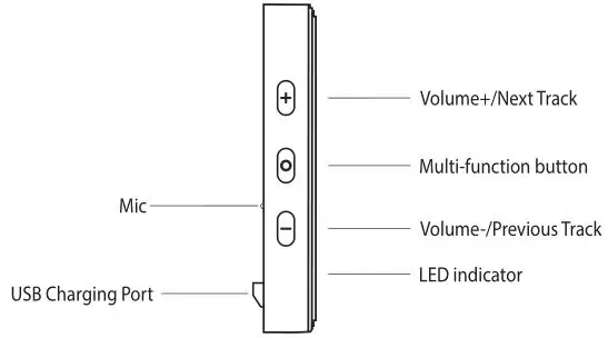 BOULT AUDIO Probass Buster - Product Introduction