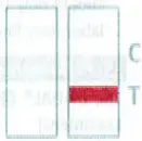 FAMKA-STD-CHLAMYDIA-Chlamydia-Rapid-Screen-FIG-11