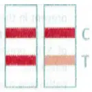 FAMKA-STD-CHLAMYDIA-Chlamydia-Rapid-Screen-FIG-9