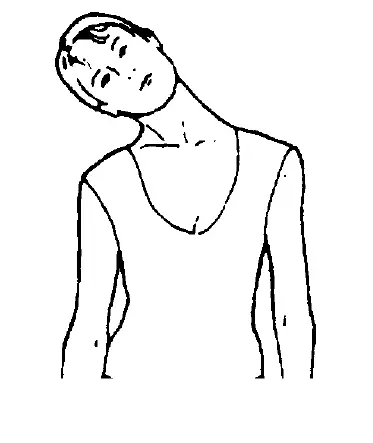 ADEXA ORBITRAC Elliptical Cycle Exercise Bike Air Bike fig 17