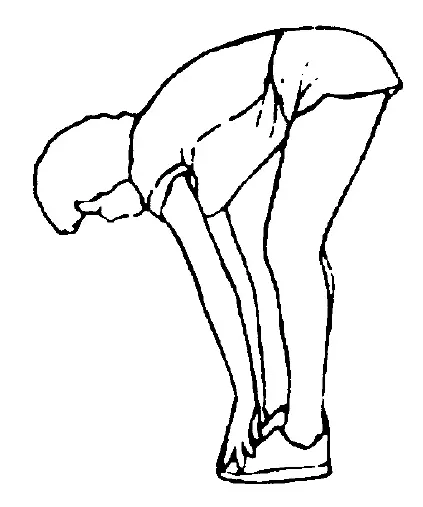 ADEXA ORBITRAC Elliptical Cycle Exercise Bike Air Bike fig 22