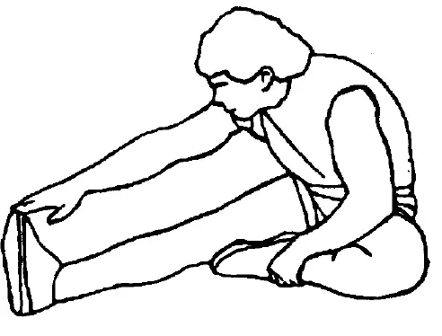 ADEXA ORBITRAC Elliptical Cycle Exercise Bike Air Bike fig 23