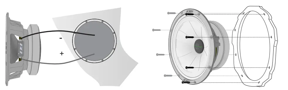 ALPHARD AP-M61SE Mid-Range Speakers 11
