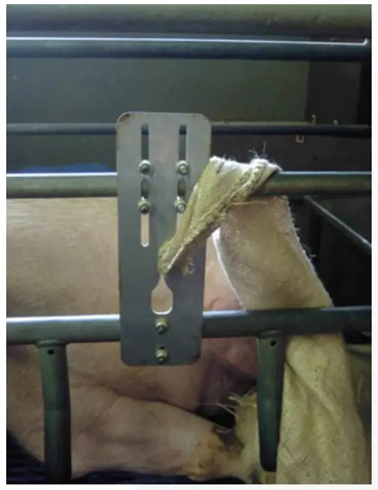 MS Schippers 0105003 Easy Nesting fig