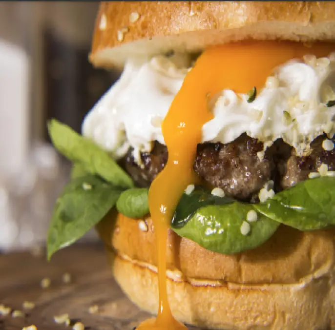 DASH DMG8100AQ 8-Express Electric Round Griddle-4