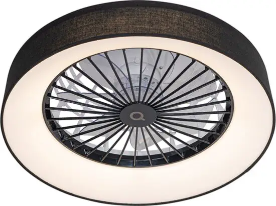 QAZQA 105367 Emily Fan.jpg