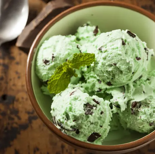 Mint Chocolet Ice Cream