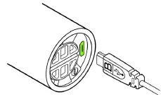 ants on a melon RGB Critter Flashlight-5