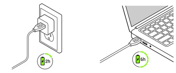 ants on a melon RGB Critter Flashlight-6