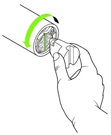 ants on a melon RGB Critter Flashlight-7