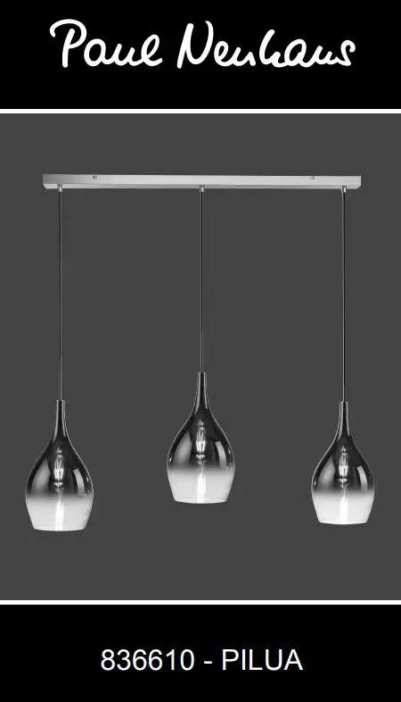 Paul Neuhaus 2063 Pendant Light Instruction Manual