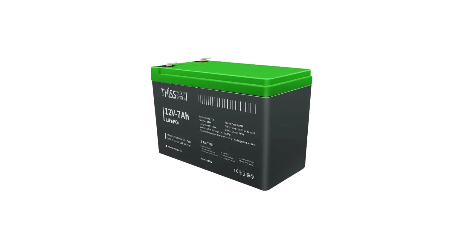 Thissenergy 12v 30ah Lifepo4 Battery User Manual