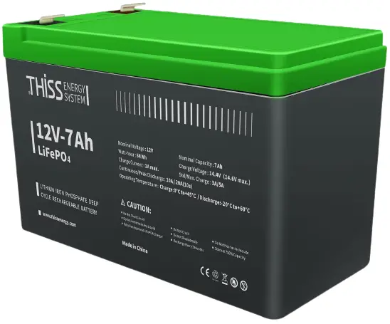 THISSENERGY-12V-30Ah-LiFePO4-Battery-product