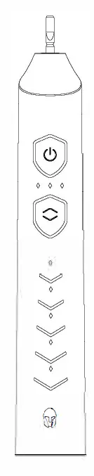 BAOVERI D36-Sonic-Electric-Toothbrush-FIG- (5)