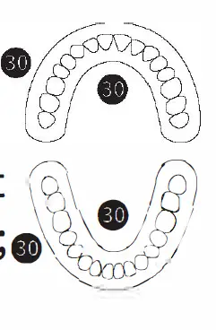 BAOVERI D36-Sonic-Electric-Toothbrush-FIG- (7)