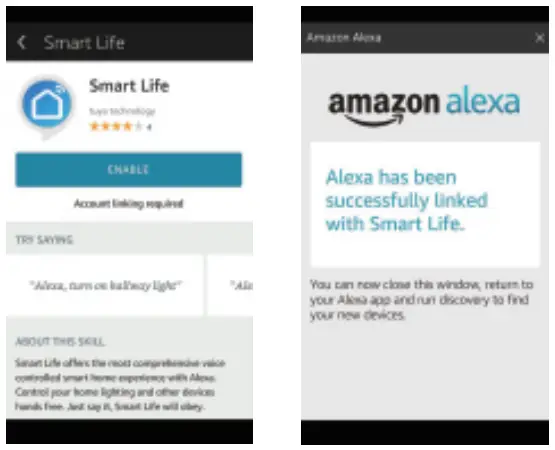 Skill in Alexa APP