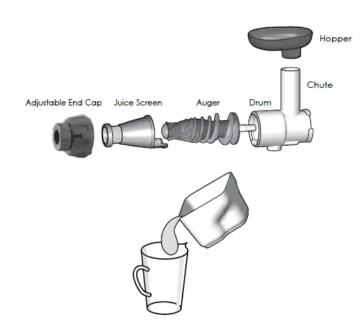 fruits and vegetables