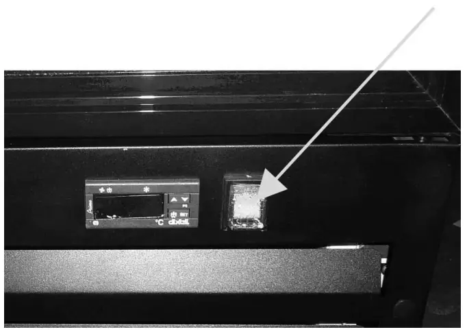 Glass Door Display Freezer with Light Canopy Light