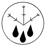 Function Button icon