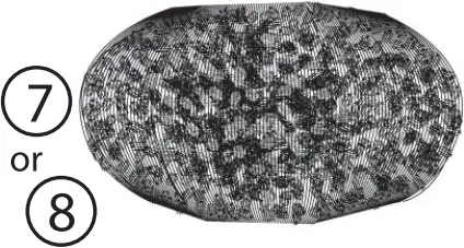 PONDMASTER Pro 1000 - Replacement list 5