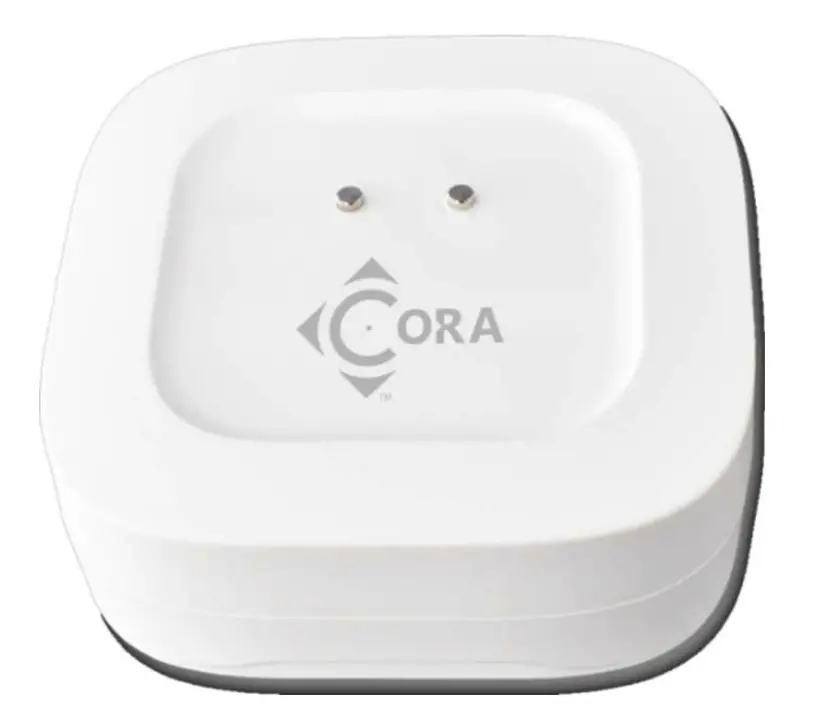 CS1010 Long Range Leak Sensor