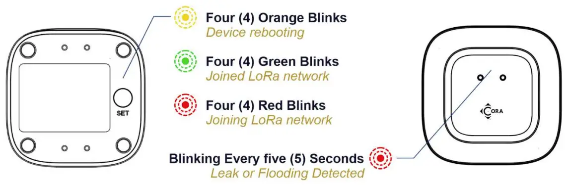 Attaching to the Network